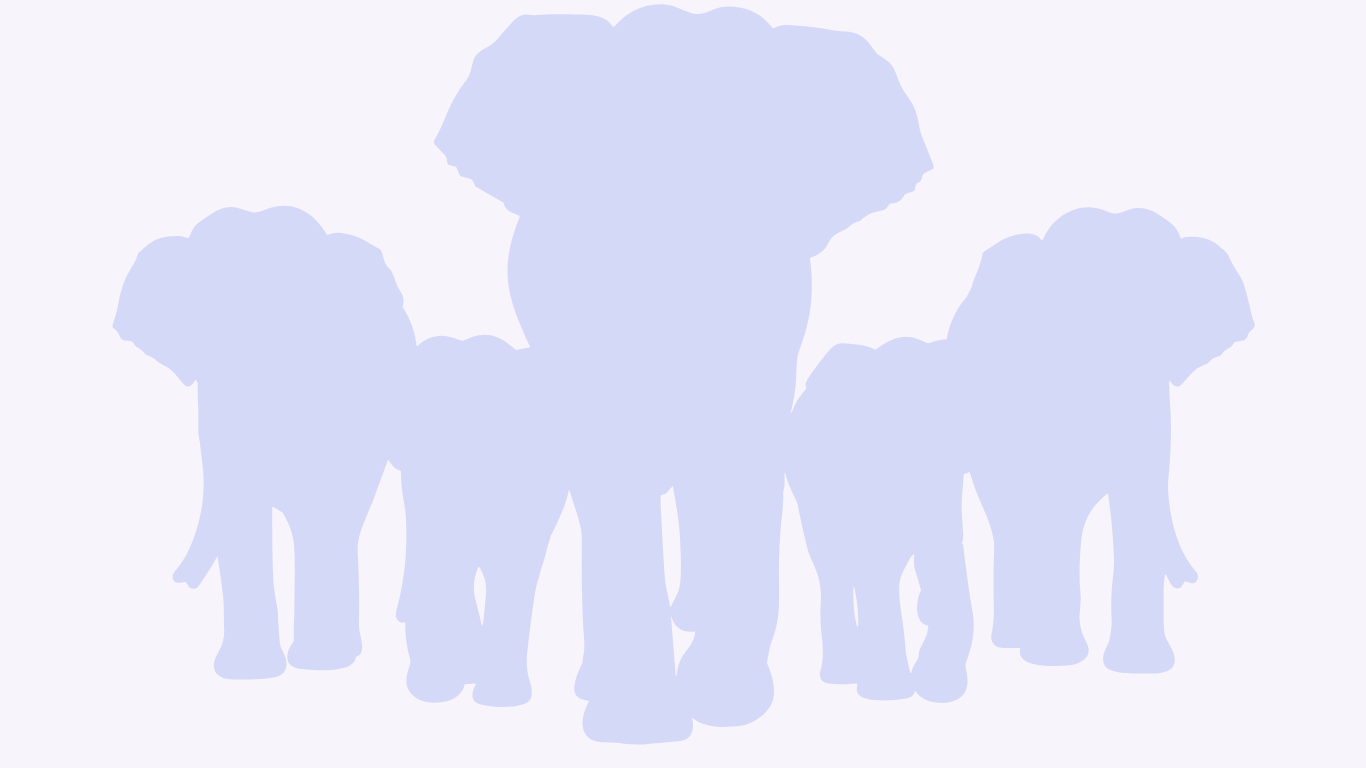 Elephant silhouettes backdrop
